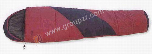 ZR3216