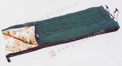 ZR3231
